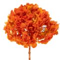 Floristik24 Hortensie konserviert gefärbt Große Blüte mit langem Stiel 60cm