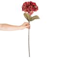 Künstliche Hortensie Blütenzweig Große Blüte 74cm | Floristik24.de