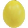 Floristik24 Ostereier Gelb Ausgeblasene Eier Hühnerei 5,5cm 10St