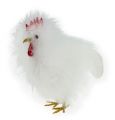 Floristik24 Deko-Set Hühnerpaar 13cm und 15cm Weiß
