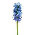 Floristik24 Hyazinthe künstlich Blau, Weiß 31cm 3St