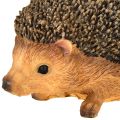 Igel Deko Figur Herbst Handbemalt Braun 14×9,5×9cm | Floristik24.de