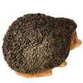 Igel Deko Figur Herbst Handbemalt Braun 14×9,5×9cm | Floristik24.de