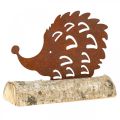 Floristik24 Igel Edelrost am Holzfuß 14,5cm x 17,5cm