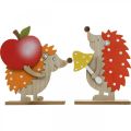 Herbstfigur, Igel mit Apfel und Pilz, Holzdeko Orange/Rot H24/23,5cm 2er-Set