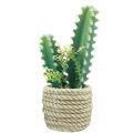 Floristik24 Kaktus im Topf Kaktus künstlich Sortiert 28cm 2St