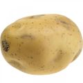 Kartoffel künstlich Lebensmittelattrappe 10cm
