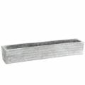 Floristik24 Pflanzkasten Beton Hellgrau 40x8cm H6,7cm