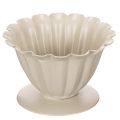 Floristik24 Schale Pokal Blütenkelch Cremefarbene Deko 9cm