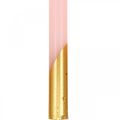 Baumkerzen Pyramidenkerzen Rosa, Golden Kerzen H105mm 10St