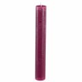 Floristik24 Kerzen Durchgefärbt in Berry Stabkerzen 34x240mm 4 St