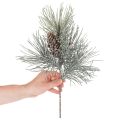 Künstlicher Kiefernzweig mit Zapfen winterlich 40cm | Floristik24.de