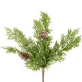 Floristik24 Künstlicher Kiefernzweig mit Zapfen Beschneit 28cm 6St