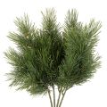 Floristik24 Künstlicher Kiefernzweig für winterliche Dekorationen 40cm 4St