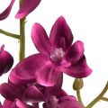 Floristik24 Kleine Orchidee Phalaenopsis Künstliche Blume Fuchisa 30cm