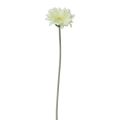 Floristik24 Künstliche Blumen Gerbera Weiß 45cm