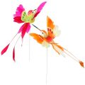 Kolibri am Draht zum Stecken Pink, Orange 17cm 6St