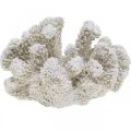 Maritime Deko Koralle Weiß künstlich Polyresin klein 13,5x12 cm