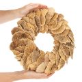 Baumschwamm Kranz naturfarben für Tür oder Wanddekoration 37cm | Floristik24.de