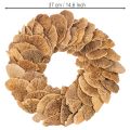 Baumschwamm Kranz naturfarben für Tür oder Wanddekoration 37cm | Floristik24.de