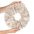 Kranz Baumschwamm Naturdeko 37cm | Floristik24.de