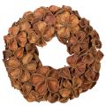 Floristik24 Landlotus Kranz getrocknet Dekoration Türkranz 35cm