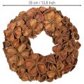 Landlotus Kranz getrocknet Dekoration Türkranz 35cm | Floristik24.de