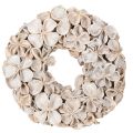 Floristik24 Kranz Landlotus Blüte Naturdeko Trockenblumen 35cm