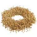 Boho Deko Kranz Flachs Dekokranz Naturkranz trocken Ø28cm | Floristik24.de