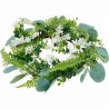 Floristik24 Künstlicher Eukalyptus-Kranz mit Farn, Kapmargeriten und Jasmin, Türkranz, Deko Kranz, Tischdeko