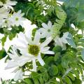 Floristik24 Künstlicher Eukalyptus-Kranz mit Farn, Kapmargeriten und Jasmin, Türkranz, Deko Kranz, Tischdeko