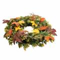 Floristik24 Kranz Herbstlaub künstlich Grün, Gelb, Orange Ø45cm