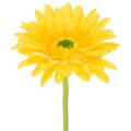 Floristik24 Künstliche Blumen Gerbera Sonnengelb Gartenblume 47cm 6St