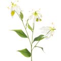 Floristik24 Künstliche Gloriosa Blume weiss gelb eleganter Blütenzweig für Dekoration 80cm 3St