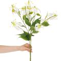 Künstliche Gloriosa Blume weiss gelb eleganter Blütenzweig für Dekoration 80cm 3St | Floristik24.de