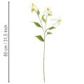 Künstliche Gloriosa Blume weiss gelb eleganter Blütenzweig für Dekoration 80cm 3St | Floristik24.de