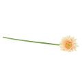 Floristik24 Künstliche Blumen Gerbera Apricot 47cm