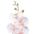 Floristik24 Künstliche Orchidee Rosa Phalaenopsis Real Touch 83cm