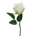 Floristik24 Künstliche Rosen im Bund Weiß 30cm 8St