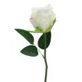 Künstliche Rosen im Bund Weiß 30cm 8 St | Floristik24.de