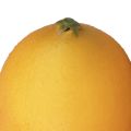 Floristik24 Künstliche Zitrone Deko Lebensmittelattrappen Orange 8,5cm