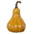Deko Kürbis für Tischdekoration Halloween 18cm | Floristik24.de