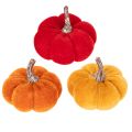 Floristik24 Deko Kürbis Set aus Samt in drei Farben Mini Kürbis 5cm 12St