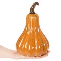 Kürbis Keramik Herbstliche Tischdekoration 26cm | Floristik24.de