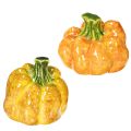 Floristik24 Kürbis Figur für herbstliche Tischdekoration Herbstdeko 10cm 2St