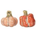 Kürbis im Set Kleine Deko Kürbisse für Herbstdekoration 5cm 3St | Floristik24.de