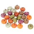 Mini Kürbis Deko Set
