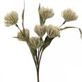 Floristik24 Kunstblume mit 6 Blüten beflockt Beige Grün 3er-Bund H38cm