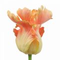 Kunstblume, Papagei Tulpe Orange, Frühlingsblume 63cm