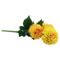 Floristik24 Kunstblumen Deko, Dahlien künstlich Orange 50cm